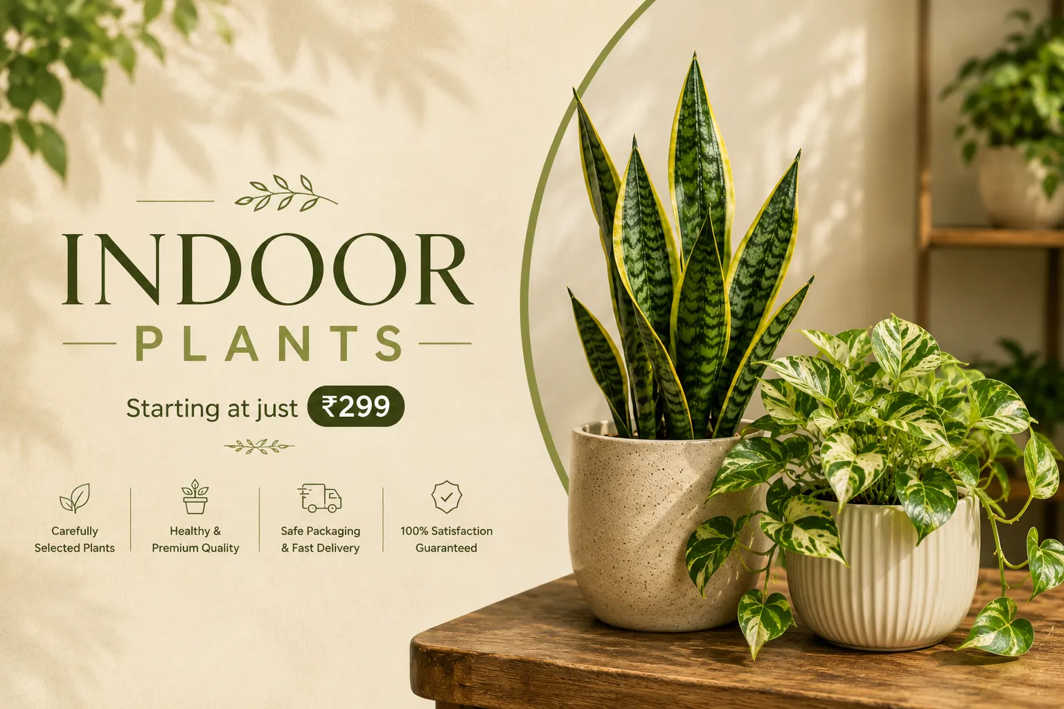 Premium Indoor Plants | Pot It Premium indoor plants with golden snake plant and marble queen money plant