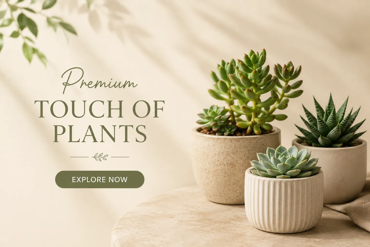 Premium Succulent Plants Banner | Pot It Premium succulent plants in ceramic pots on beige minimalist background