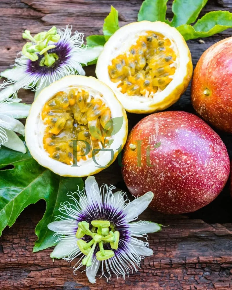 Ripe Purple Passion Fruits cut open showing juicy pulp and seeds alongside beautiful Passion Flowers of Passiflora edulis on a wooden background.